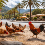 Hühner auf Mallorca - Quelle: KI, ChatGPT